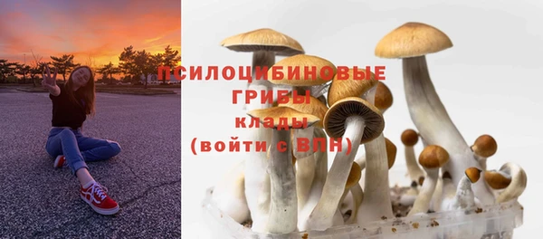 a pvp Баксан