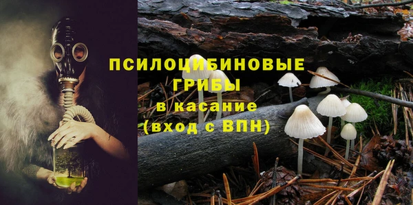 индика Белокуриха