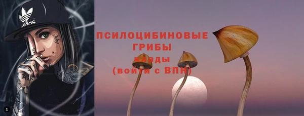 индика Белокуриха