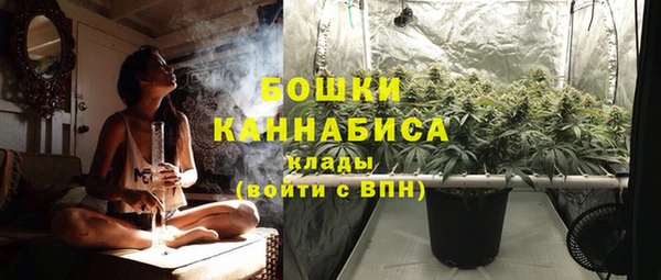 индика Белокуриха