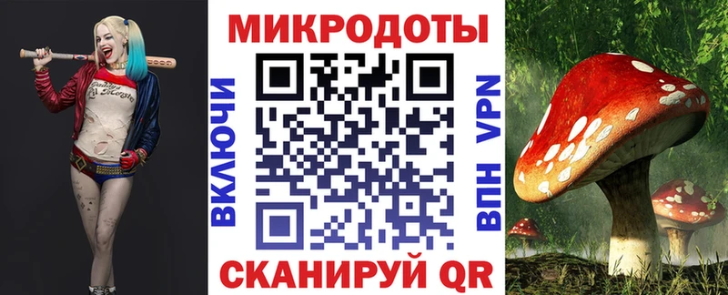 дарк нет телеграм  Пятигорск  Псилоцибиновые грибы прущие грибы 